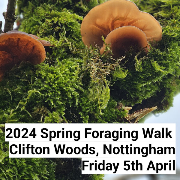 Spring Foraging Walk - 05.04.24- Clifton Woods, Nottingham