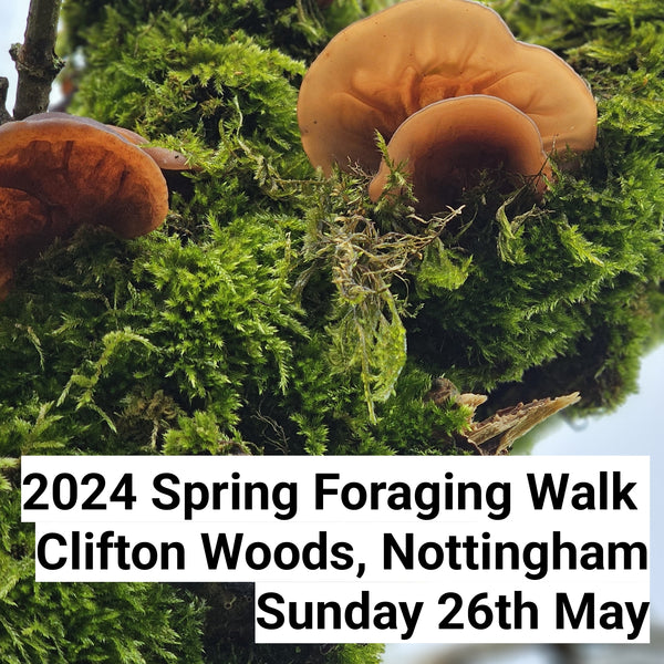 Spring Foraging Walk - 26.05.24 - Clifton Woods, Nottingham