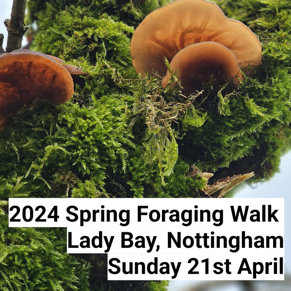 Spring Foraging Walk - 21.04.24 - Lady Bay, Nottingham