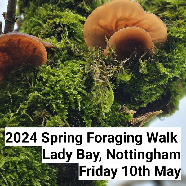 Spring Foraging Walk - 10.05.24 - Lady Bay, Nottingham